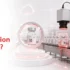 What is an inspection system?